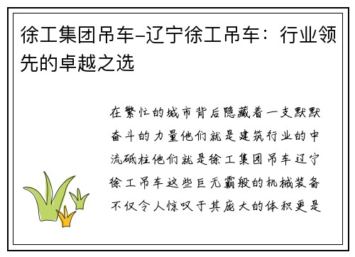 徐工集团吊车-辽宁徐工吊车：行业领先的卓越之选